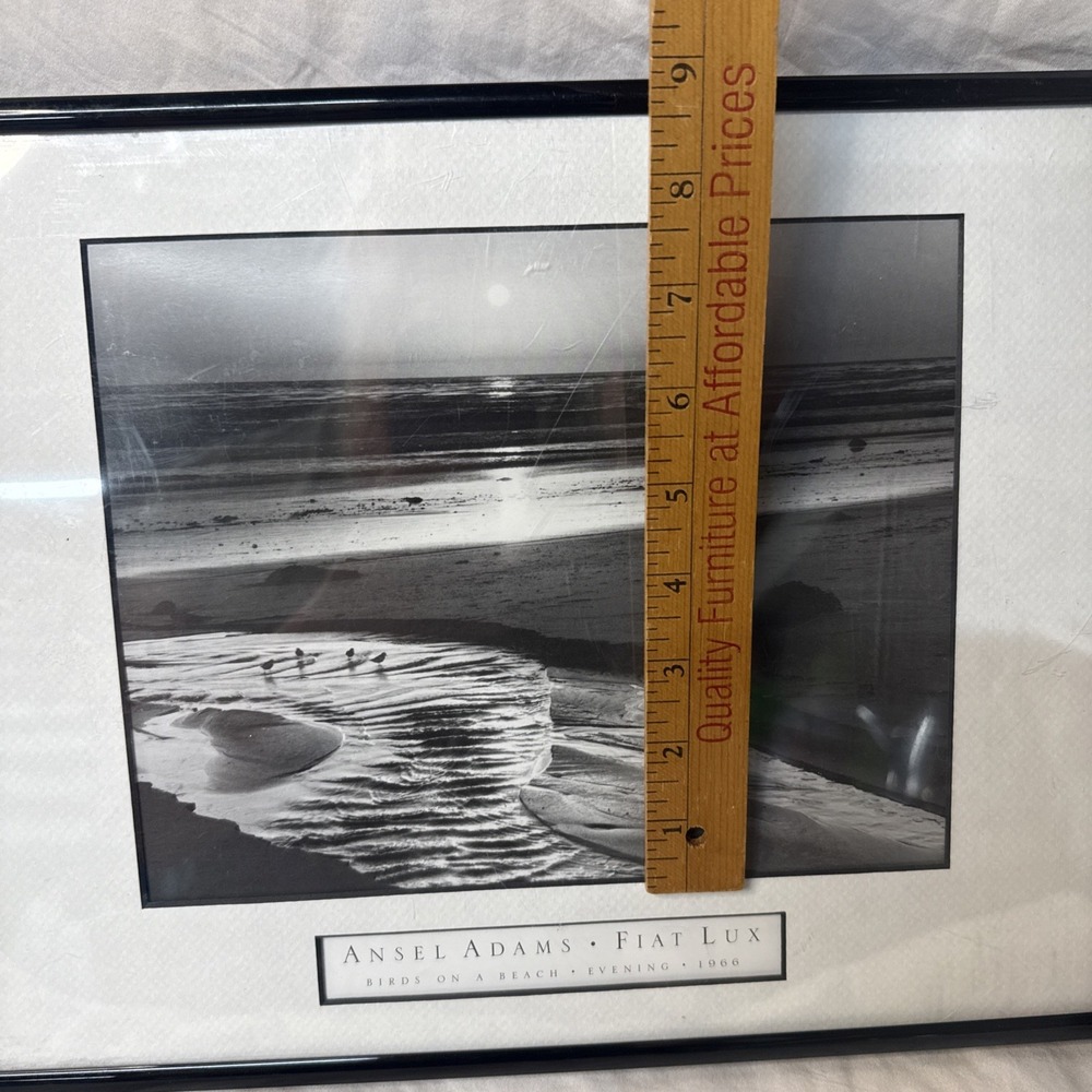 Ansel Adams Birds on a Beach Evening Framed Framed 1966 Photo 12x14 Wall Art VTG - Picture 12 of 15